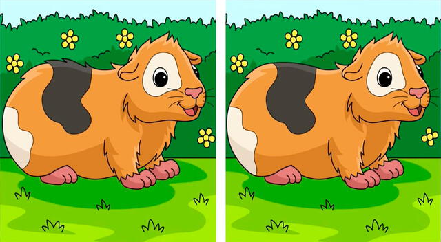 Pon a prueba tu capacidad visual intentando encontrar las 3 diferencias.