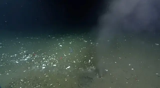 Fuga de líquido caliente en el fondo del océano Pacífico.