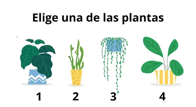 Descubre un poco más sobre tu forma de ser con esta prueba online. Descubre un poco más sobre tu forma de ser con esta prueba online.