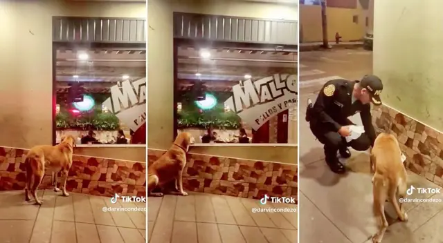 El lindo gesto del policía fue muy celebrado por los internautas.