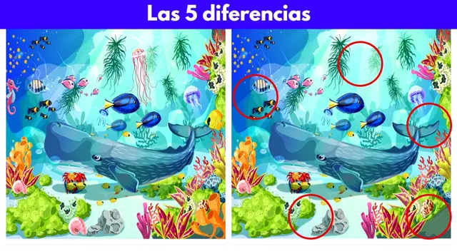 reto visual