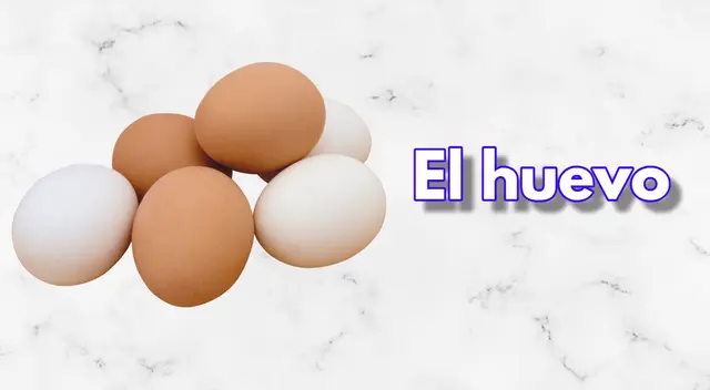 acertijo visual