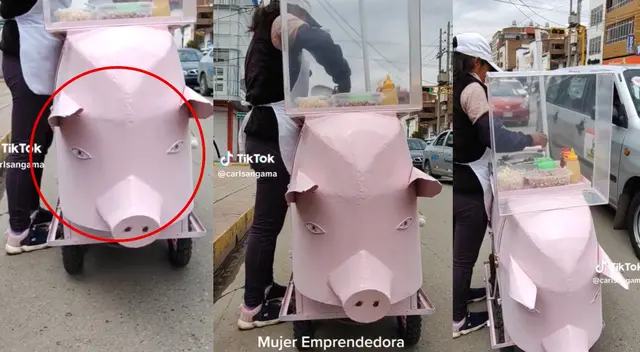 Mujer emprendedora y su increíble idea para crear una carretilla en forma de 'chanchito' Mujer emprendedora y su increíble idea para crear una carretilla en forma de 'chanchito'