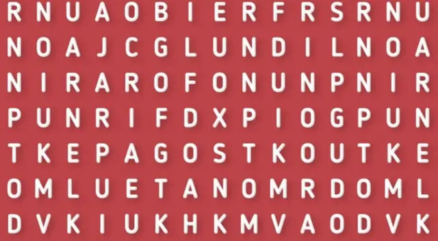 Demuestra tener una vista superior a todos.