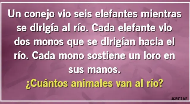 Acertijo visual