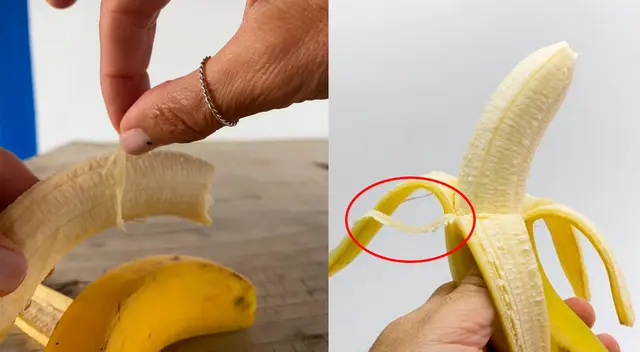 Conoce qué hay detrás de las hebras que aparecen al pelar un plátano.