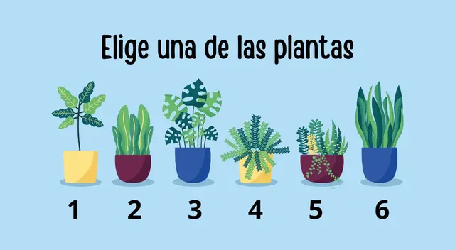 Deja que tu intuición te guíe y descubre más sobre tu destino. Deja que tu intuición te guíe y descubre más sobre tu destino.