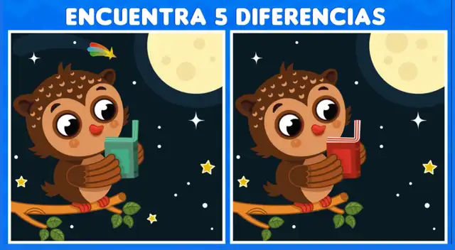 ¿Puedes dar con las diferencia en los dos búhos? ¿Puedes dar con las diferencia en los dos búhos?