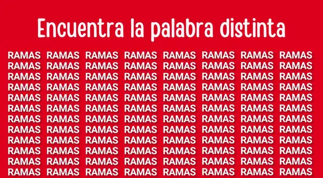 ¿Preparado para el desafío que Diario Líbero tiene para ti? ¿Preparado para el desafío que Diario Líbero tiene para ti?