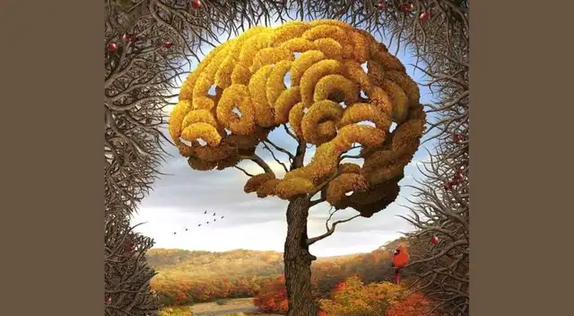 Tienes cuatro opciones, ¿qué fue lo que tus ojos captaron? Tienes cuatro opciones, ¿qué fue lo que tus ojos captaron?