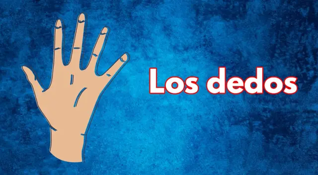 acertijo visual