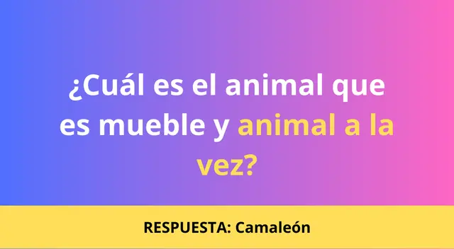 Acertijo visual