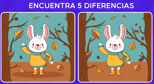Encuentra las 5 diferencias del reto extremo creado para genios.