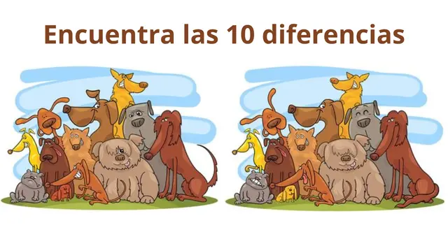 ¿Puedes ver las 10 diferencias en este reto visual extremo?