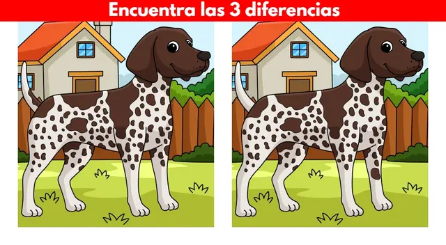 ¿Podrás desarrollar este reto visual en tiempo récord? ¿Podrás desarrollar este reto visual en tiempo récord?