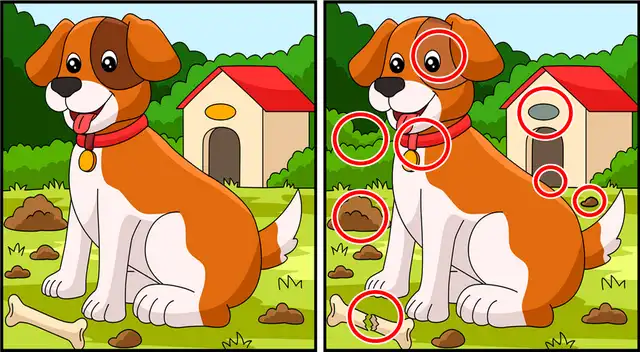 reto visual