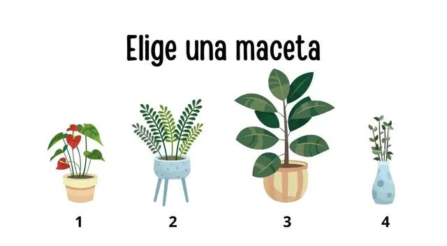 Descubre todo lo que tu decisión puede revelar sobre ti. Descubre todo lo que tu decisión puede revelar sobre ti.