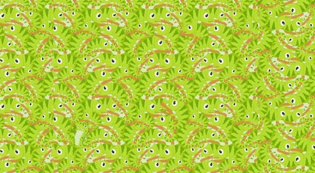 No será nada sencillo encontrar al cocodrilo en este sinfín de iguanas.