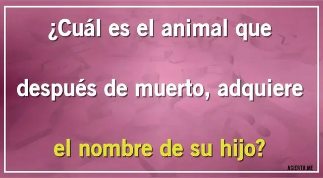 Demuestra cuál es tu verdadero potencial y da con la respuesta correcta en tiempo récord. Demuestra cuál es tu verdadero potencial y da con la respuesta correcta en tiempo récord.