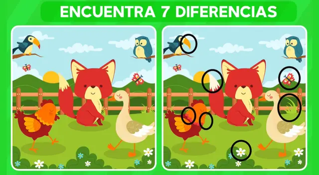 Retos visuales. Retos visuales.