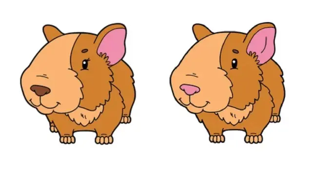 ¿Cuáles son las 5 diferencias del reto? Ubícalas en 8 segundos ¿Cuáles son las 5 diferencias del reto? Ubícalas en 8 segundos