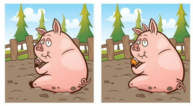 Retos visuales.
