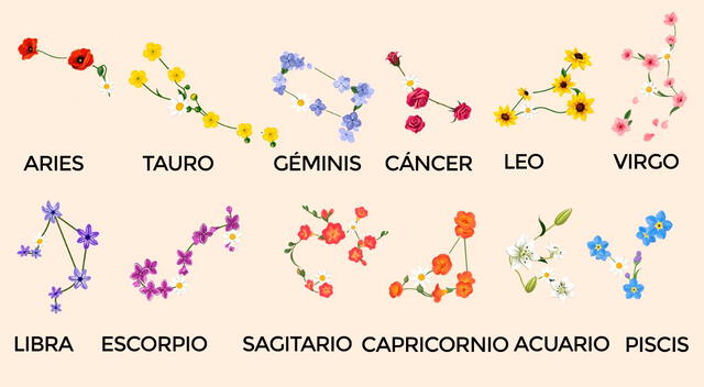 Escoge la flor que corresponde a tu signo del zodiaco y sorprendente con la revelación que tiene para ti.