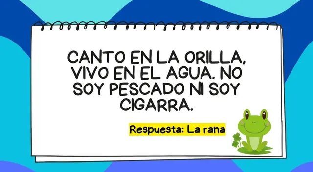 acertijo visual acertijo visual