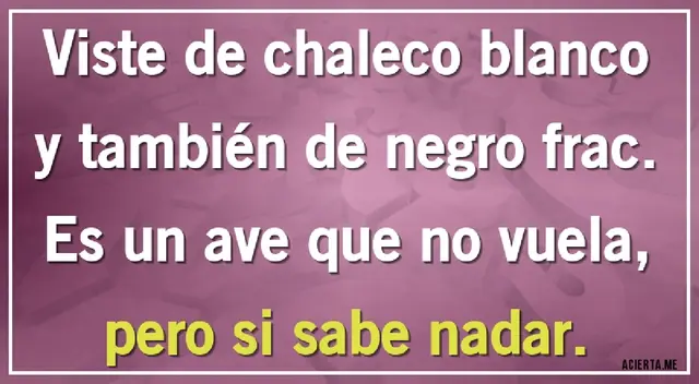 Descifra este acertijo visual y forma parte de los GENIOS, solo tienes 6 segundos