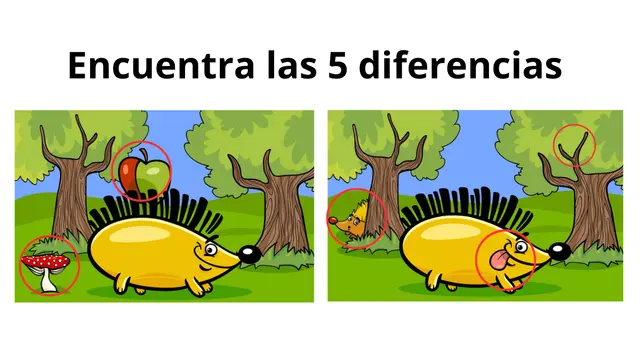 Retos visuales. Retos visuales.