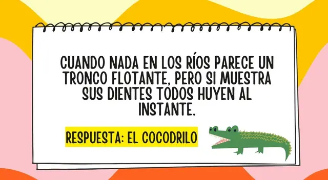 acertijo visual acertijo visual