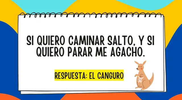 acertijo visual acertijo visual