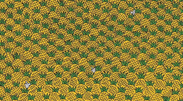 Halla las 3 mazorcas de maíz entre las piñas. Halla las 3 mazorcas de maíz entre las piñas.