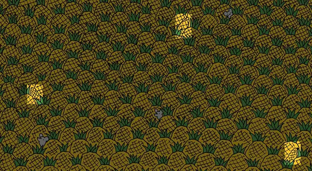 Reto visual Reto visual