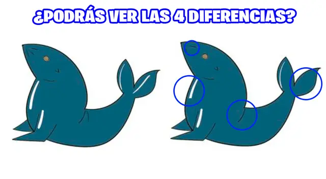 reto visual reto visual