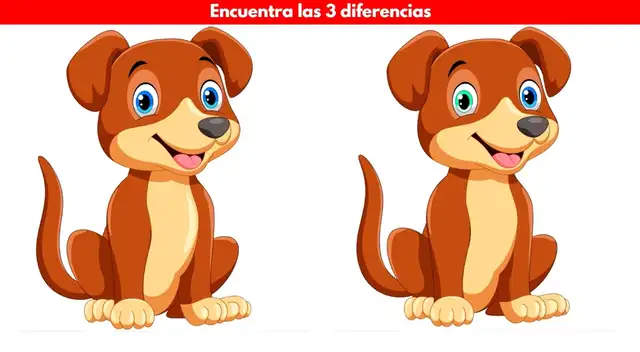 El reto visual más complejo del día en redes sociales El reto visual más complejo del día en redes sociales