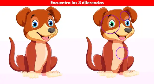 Reto visual Reto visual