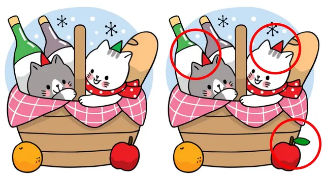 reto visual reto visual