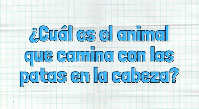 ¡Abre bien los ojos y tu mente! Solo así podrás resolver el desafío.