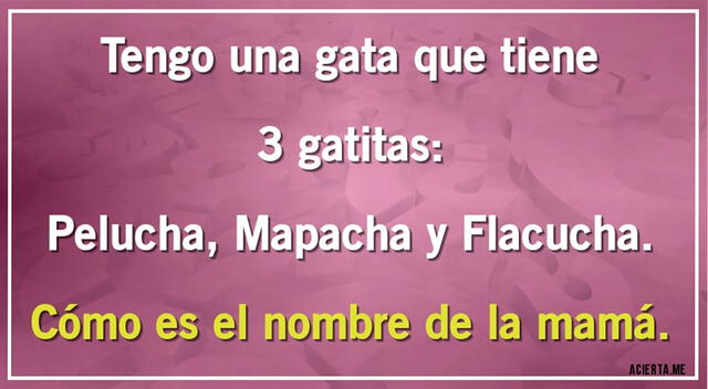 acertijo visual