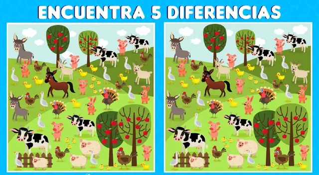 Encuentra las dfiferencias y conságrate un CRACK de estas pruebas complejas Encuentra las dfiferencias y conságrate un CRACK de estas pruebas complejas