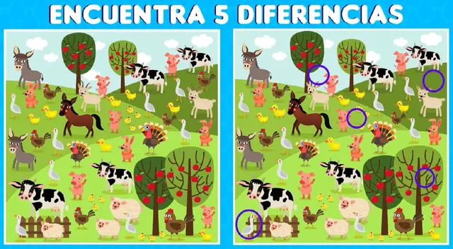 retos visuales retos visuales