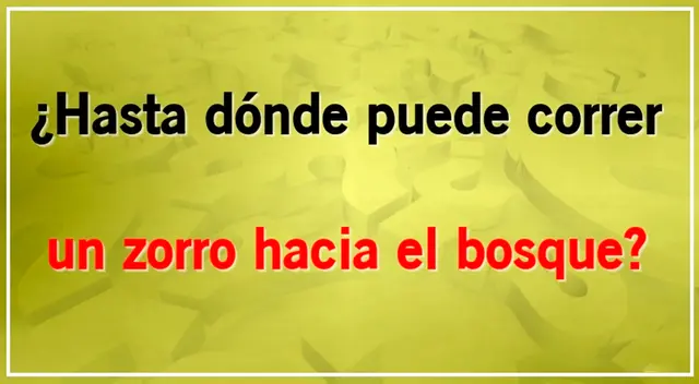 acertijo visual