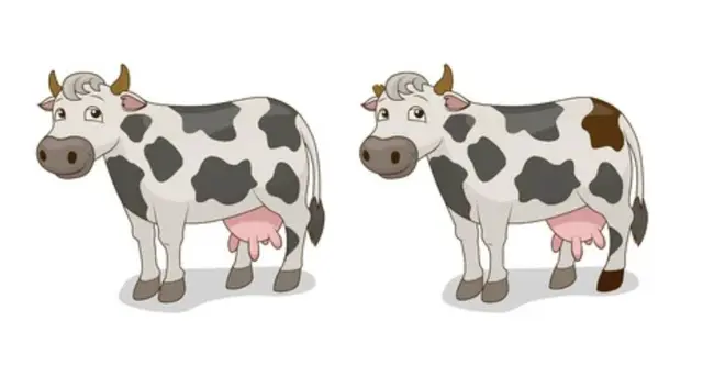 Encuentra las diferencias del reto viral en solo 5 segundos y triunfa