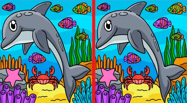 Pon a prueba tu capacidad mental y visual con este divertido reto nivel extremo.