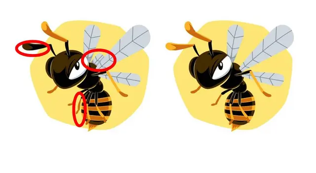 reto visual reto visual