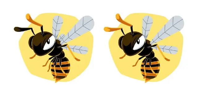 Reto: halla las 3 diferencias en esta abeja del desafío extremo Reto: halla las 3 diferencias en esta abeja del desafío extremo
