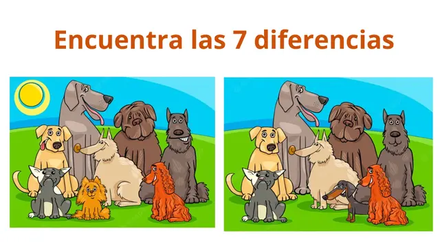 Retos visuales.