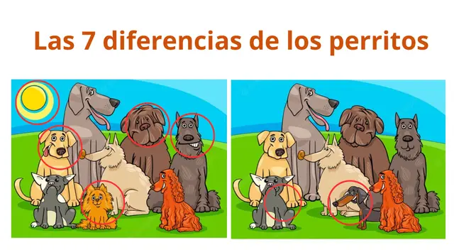 Retos visuales.