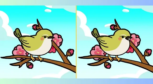 Son contados los usuarios que obtuvieron la victoria en este importante reto visual. Son contados los usuarios que obtuvieron la victoria en este importante reto visual.